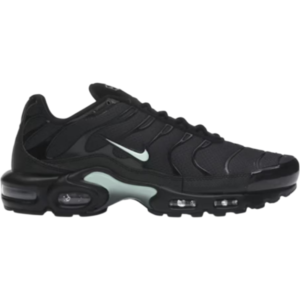 Nike Air Max Plus Black Mint Green Nike Air Max Plus Black Mint Green - DM0032-029 - Acquista su Shoes Clothing Store