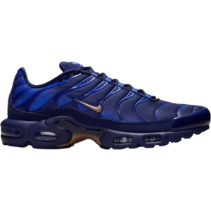 Nike Air Max Plus French Football Federation